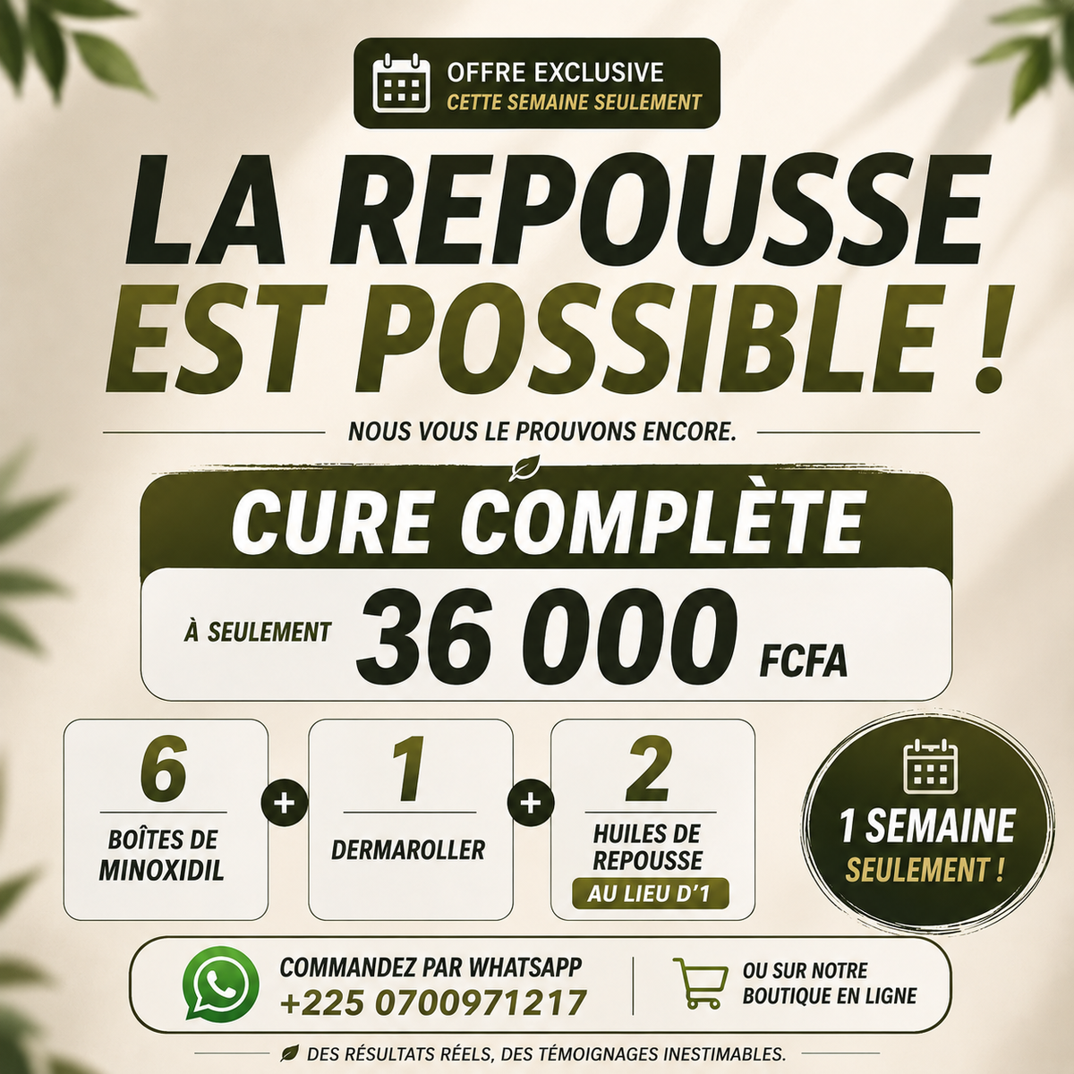 Cure Anti-Chute 6 Mois — 2 Huiles de Repousse Offertes Cette Semaine Seulement