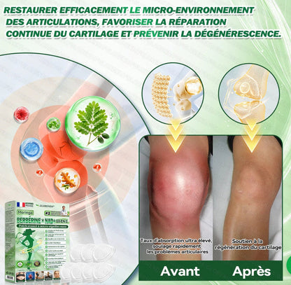 Patch Glorenda Berbérine × NAD+ — Minceur & Bien-être 10-en-1 | Fabriqué en France 🇫🇷